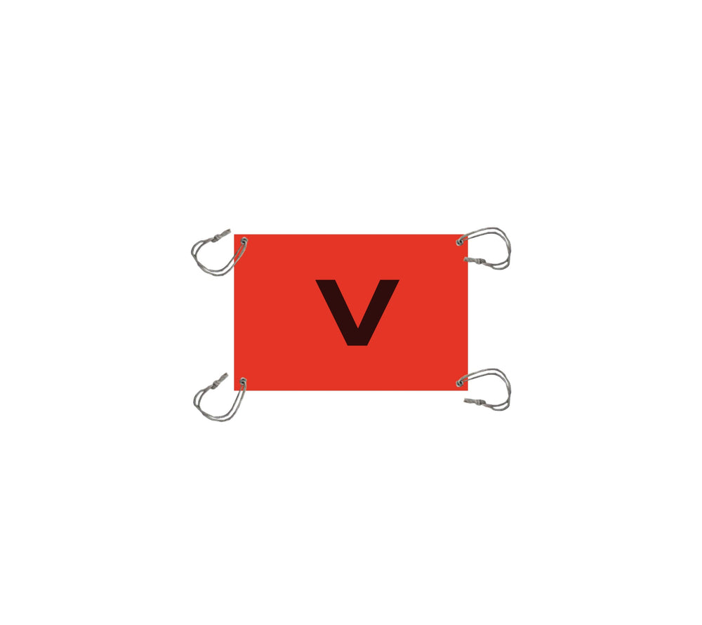 Safety V-Sheet — Viking Rollers