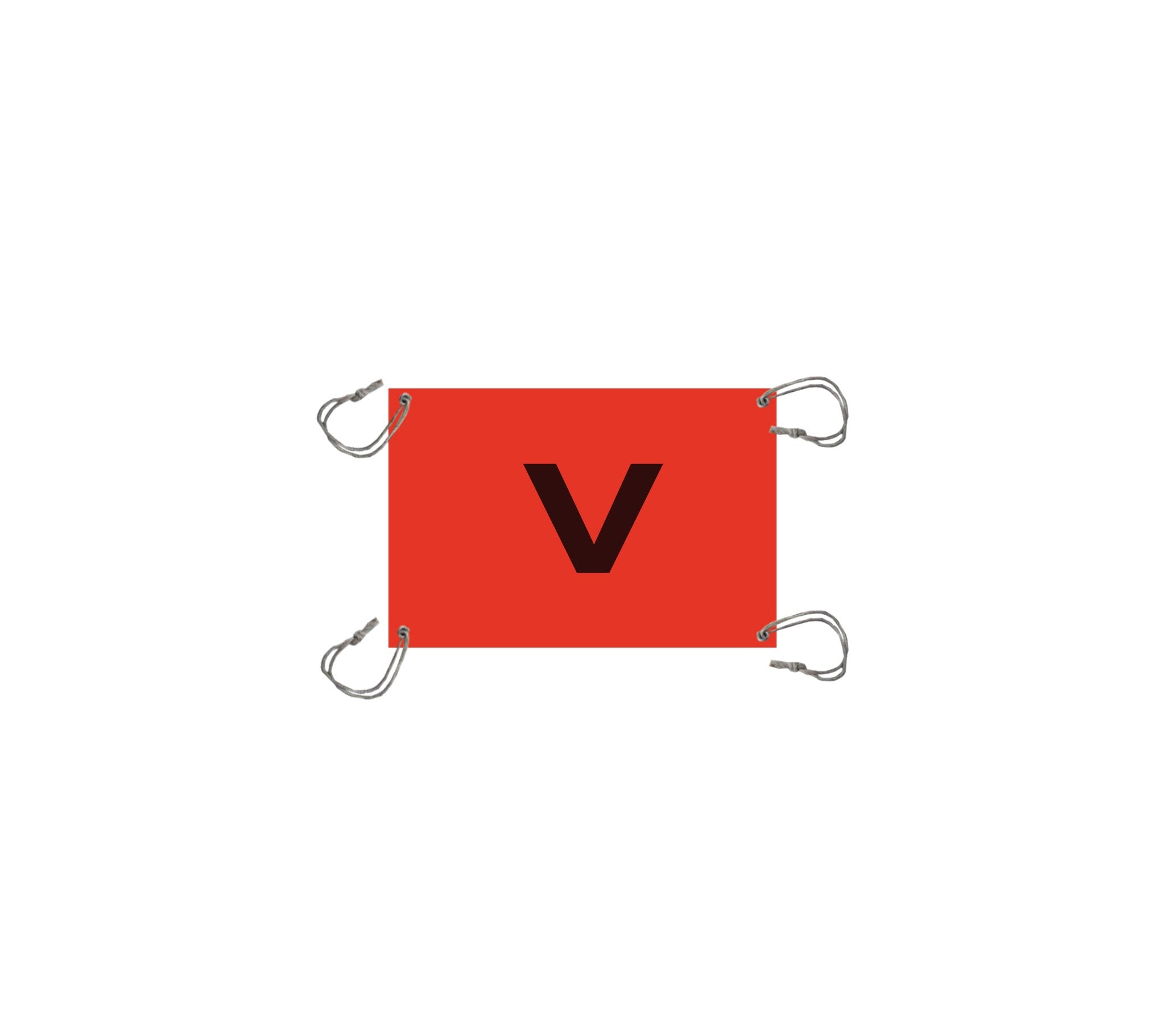 Safety V-Sheet — Viking Rollers