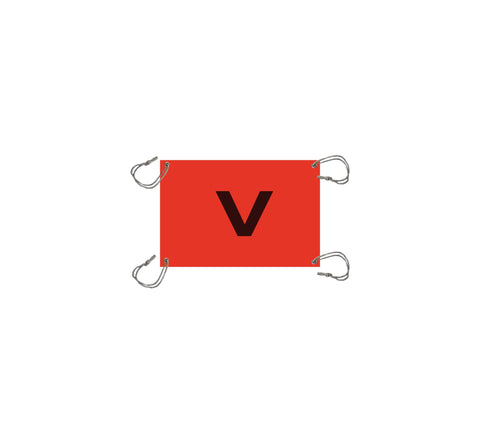 Safety V-Sheet — Viking Rollers